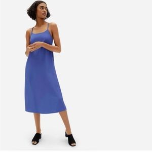 Everlane Goweave Japanese Slip Dress
